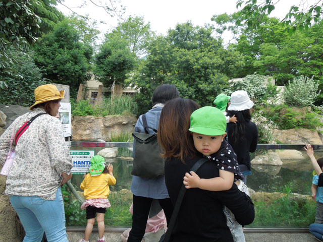 DSCN0520