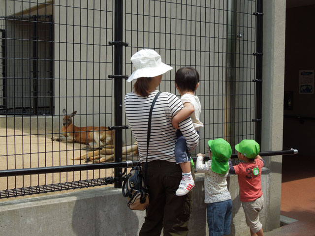 DSCN0523
