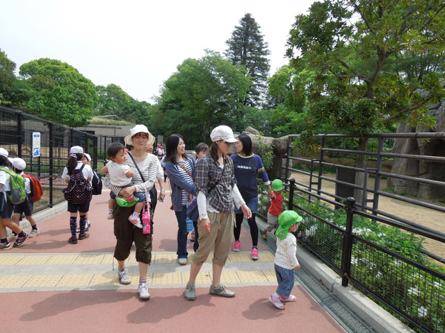 DSCN0524