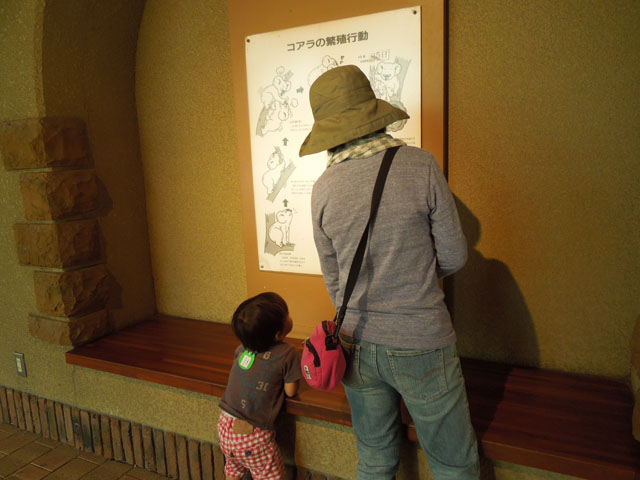 DSCN0529