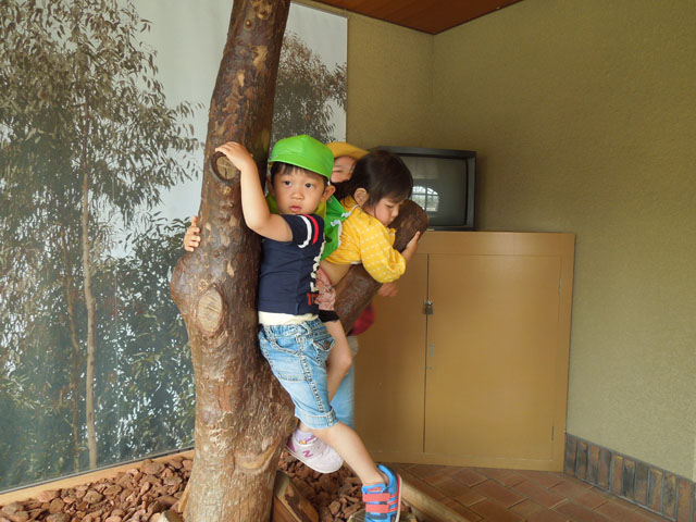DSCN0531