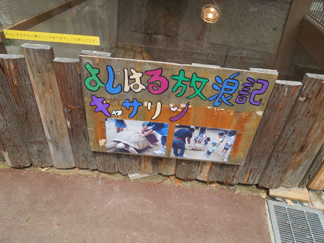 DSCN0535