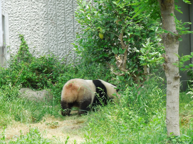 DSCN0538