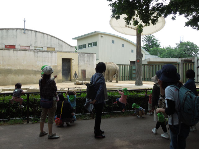 DSCN0542