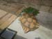 DSCN0534