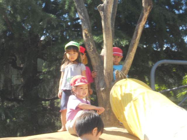 DSCN3339