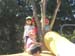 DSCN3339