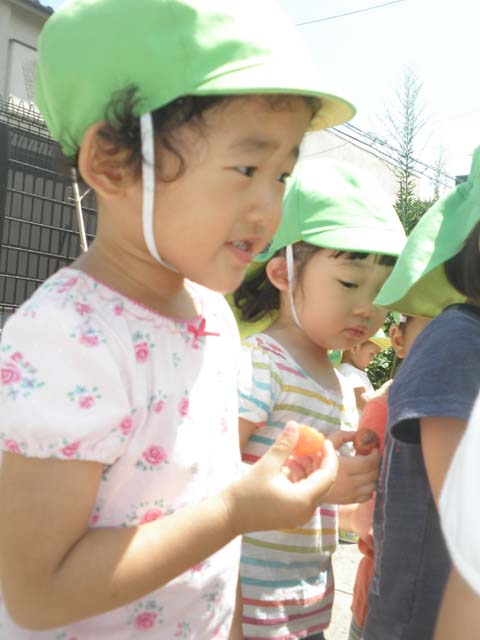 P7305351