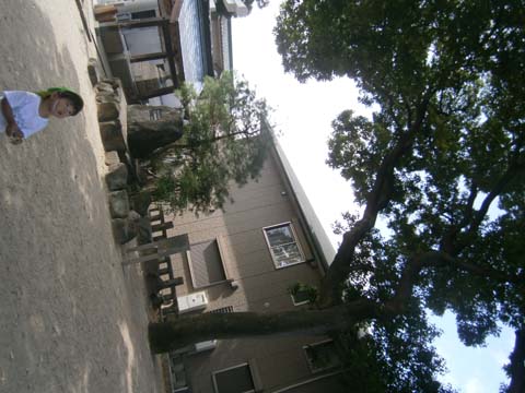 PA010184